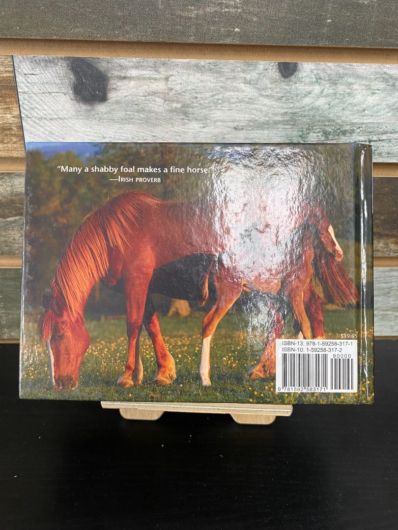 USED HORSES by Kristin Maffei