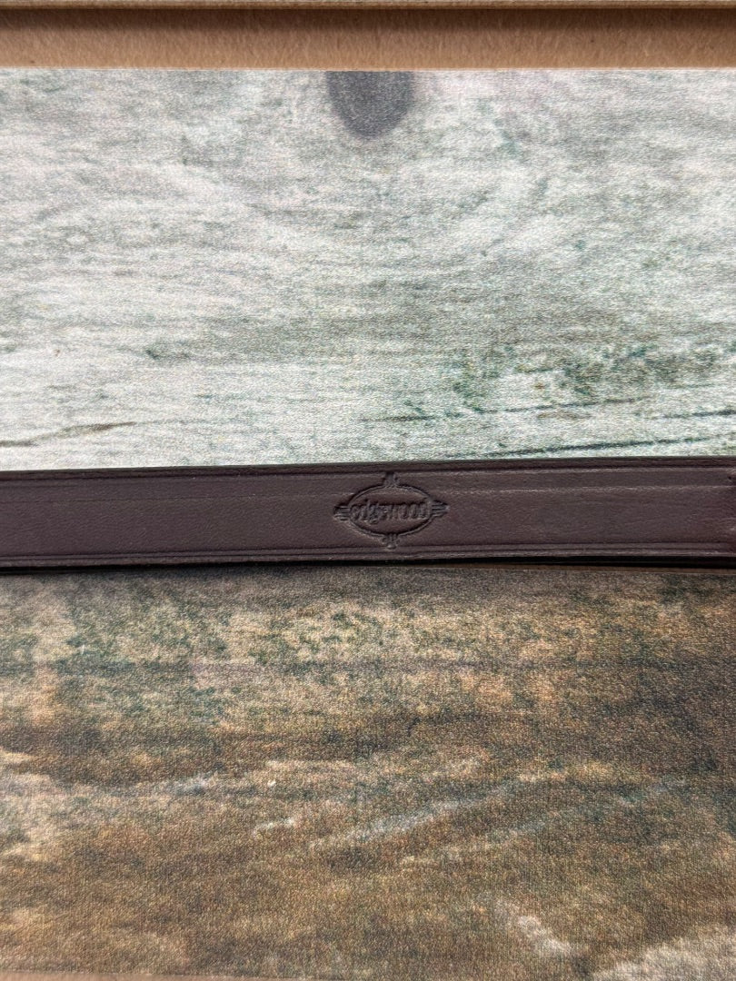 USED Edgewood Raised Standing Martingale XL Havana