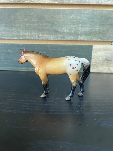 USED  Quarter Horse Buckskin Appolosa