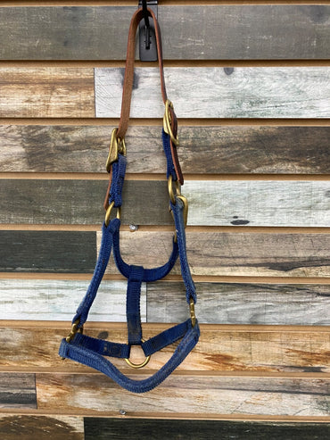 USED Walsh Breakaway Halter Yearling / Pony Blue
