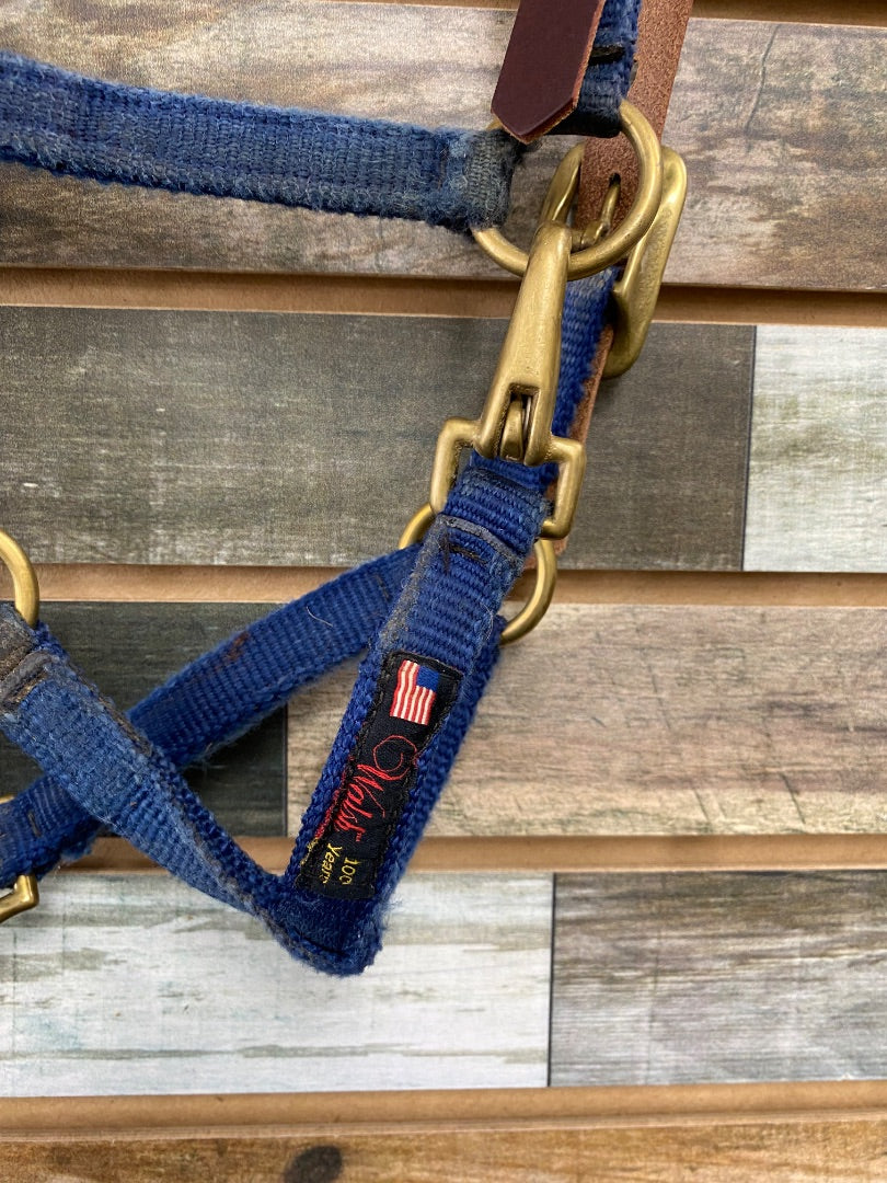 USED Walsh Breakaway Halter Yearling / Pony Blue