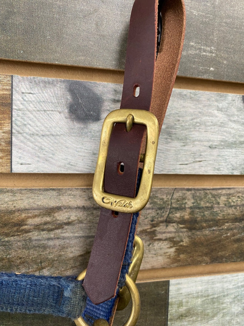 USED Walsh Breakaway Halter Yearling / Pony Blue
