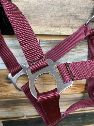 USED NWT Nylon Halter Pony Burgundy