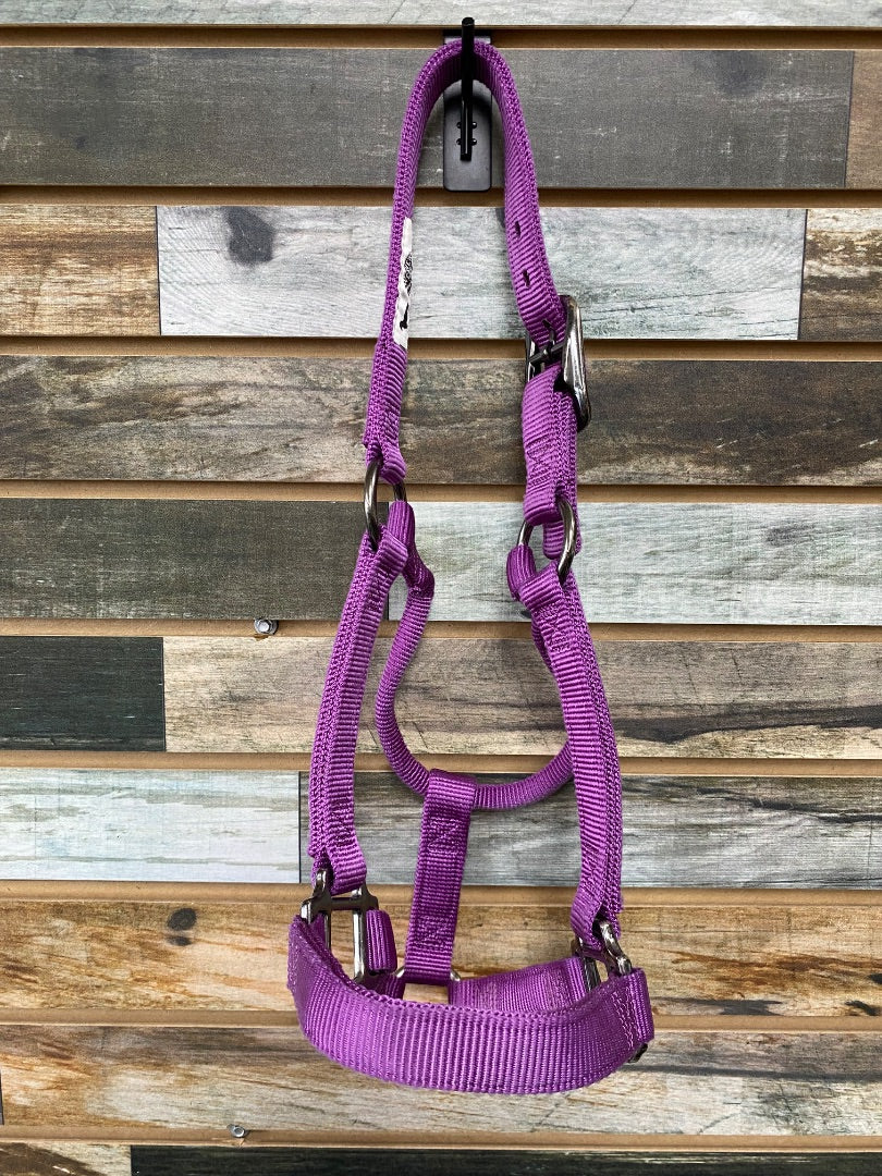 USED Weaver Nylon Halter Small Horse Purple