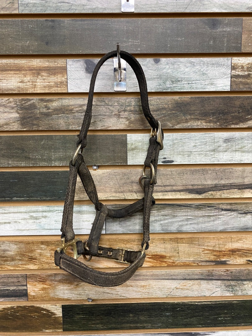 USED Valhoma Nylon Halter Pony Black