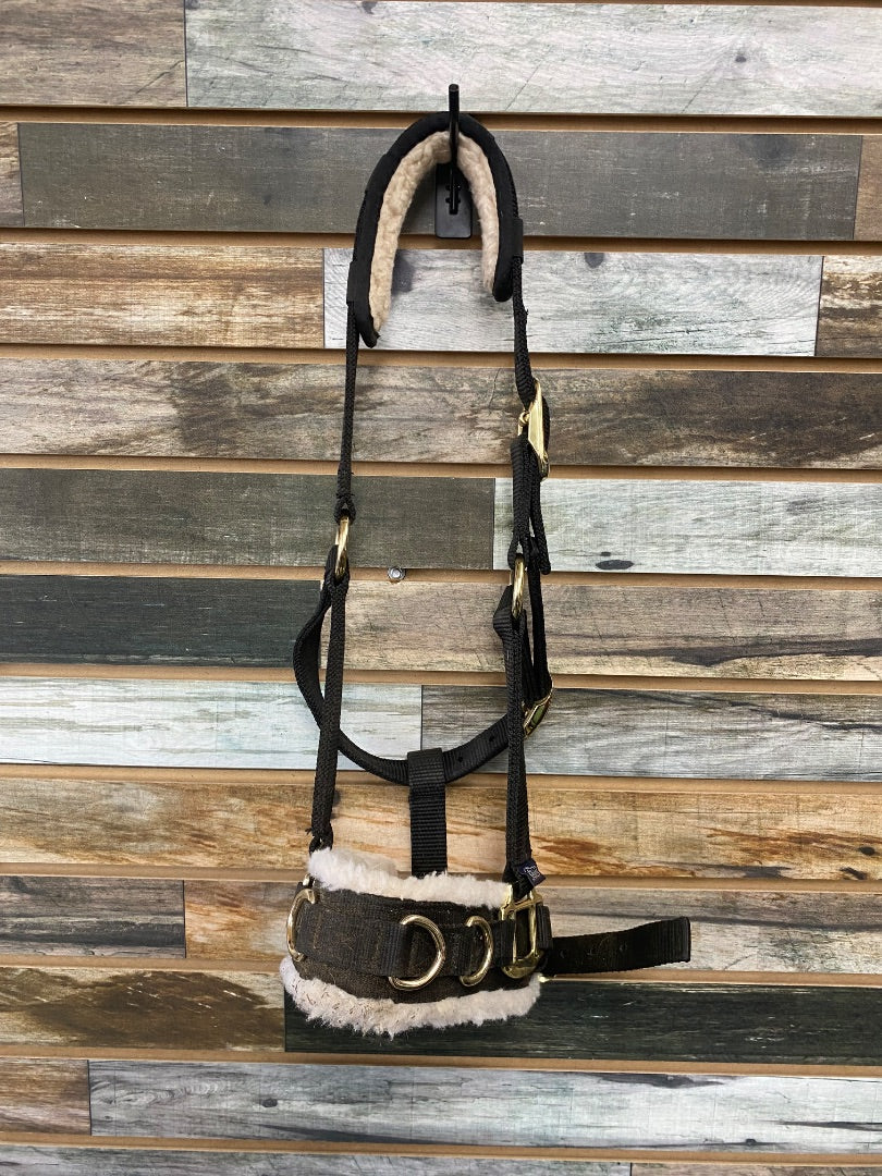 USED Shires Lunging Cavesson Cob Cob Black
