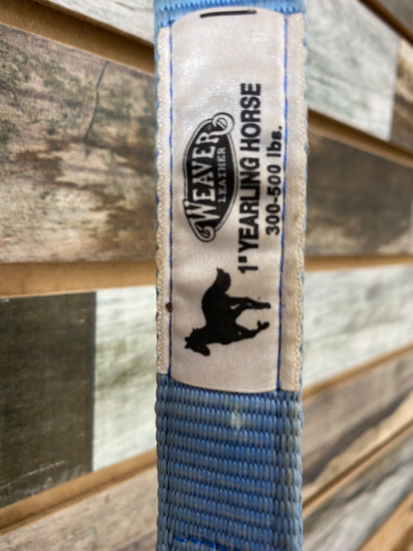 USED Weaver Nylon Halter Yearling Light Blue