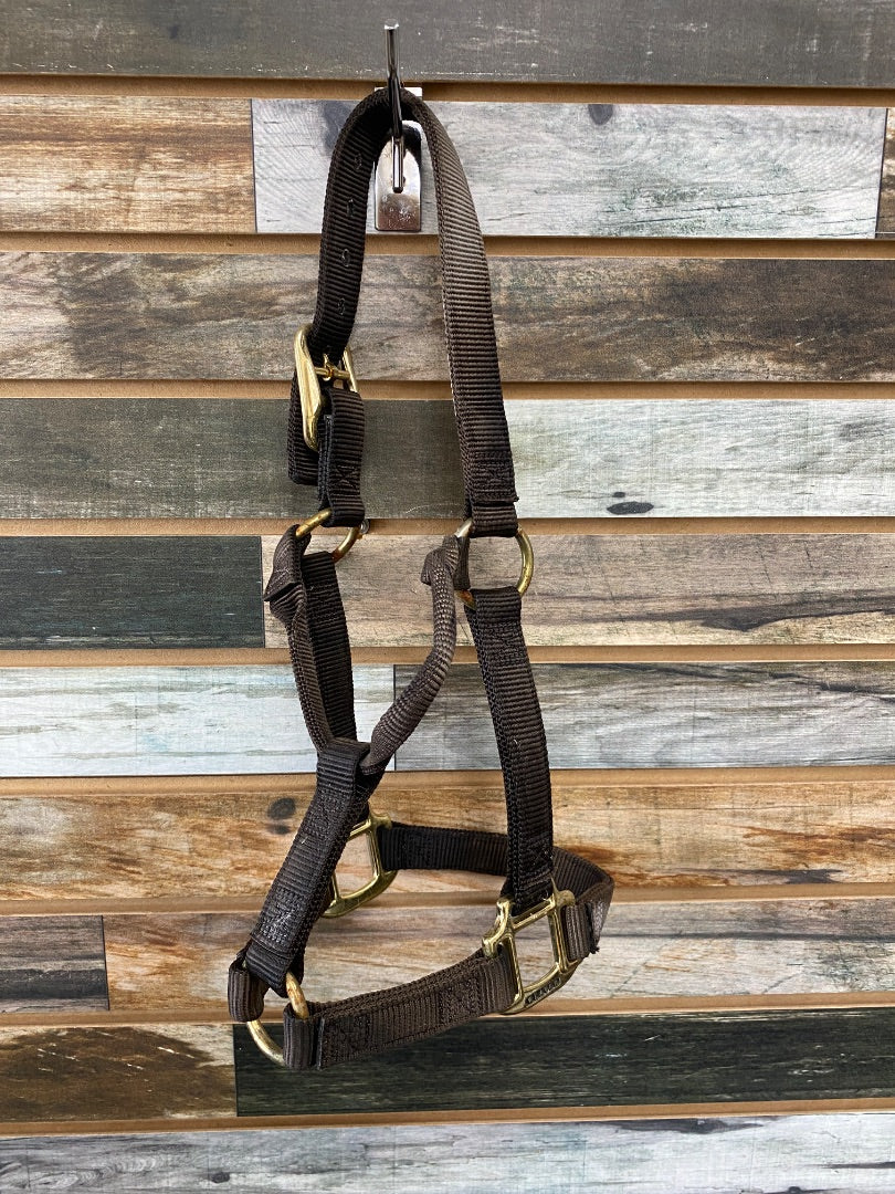 USED Weaver Nylon Halter Yearling Black