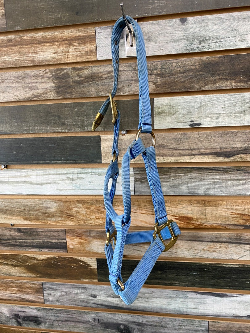 USED Hamilton Nylon Halter Yearling Light Blue