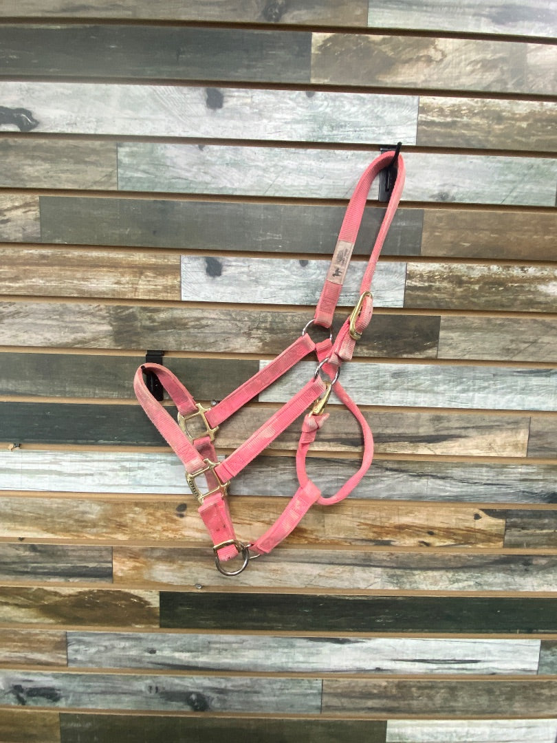 USED Weaver Nylon Halter Large Pink
