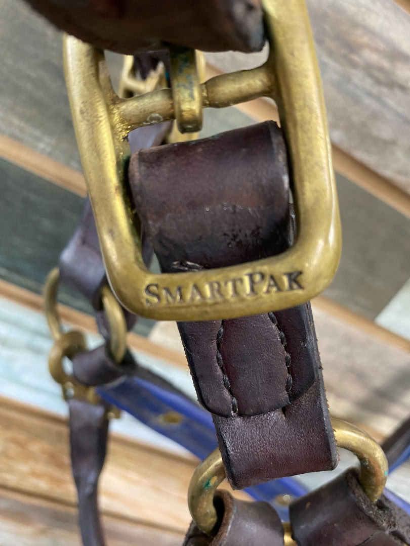 USED Leather Halter with Blue Padding has nameplate attached Full Havana/Blue