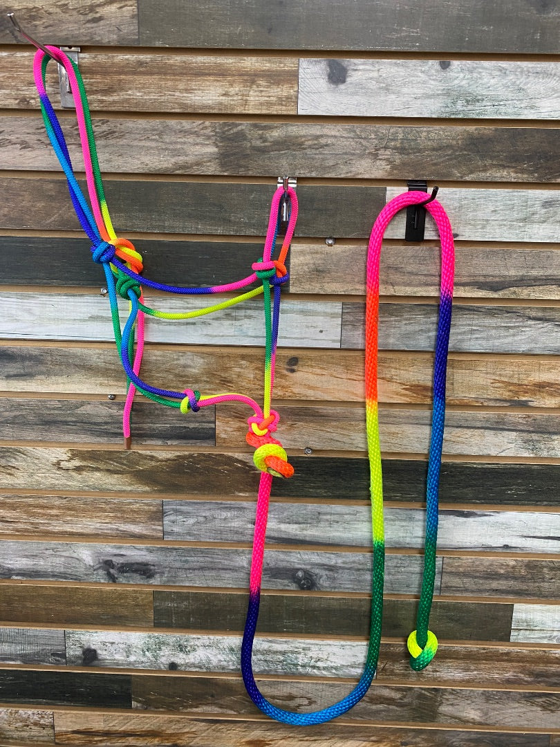 USED Nylon Rope Halter with Lead Rainbow