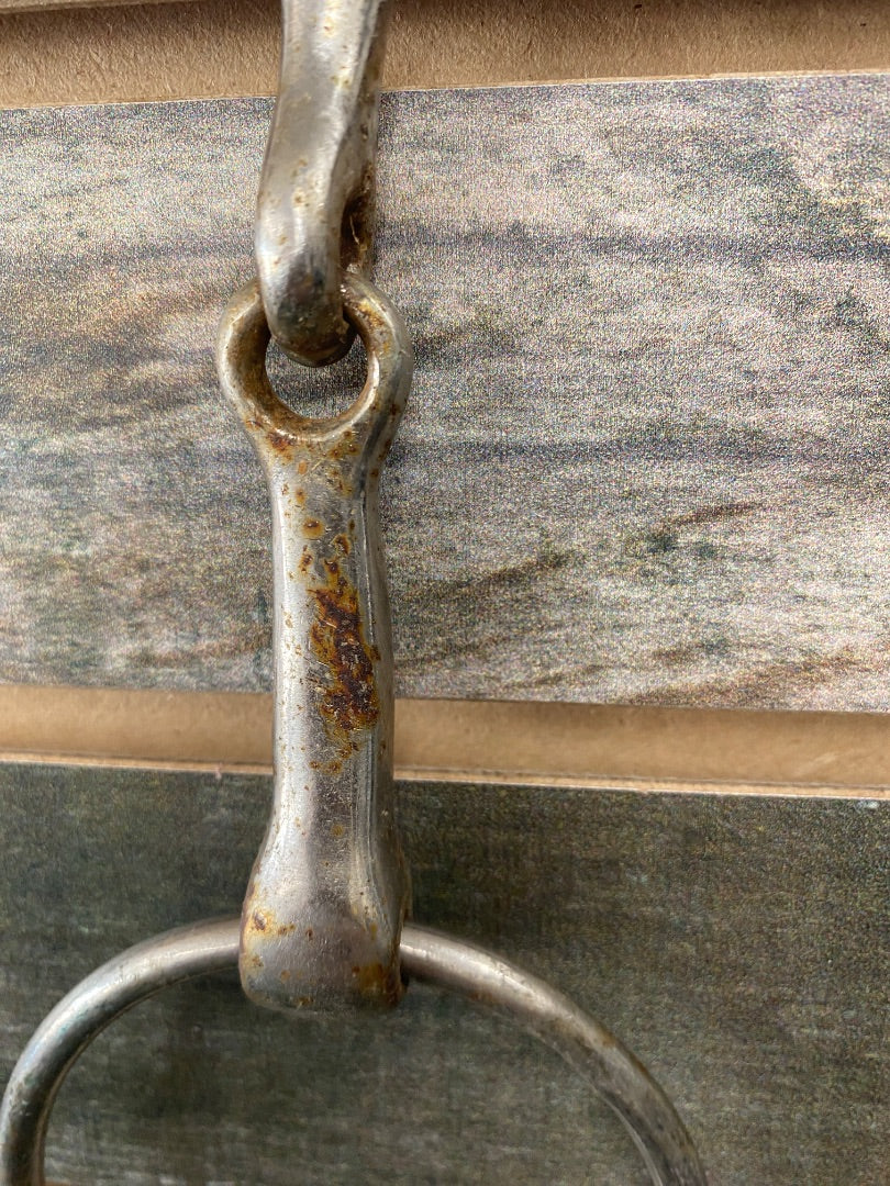 USED O-Ring Snaffle 5"