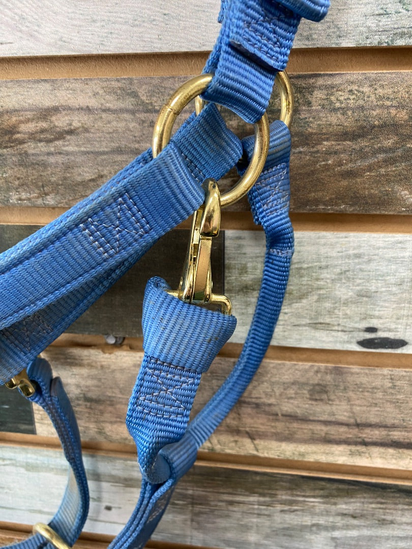 USED Weaver Nylon Halter Yearling Light Blue