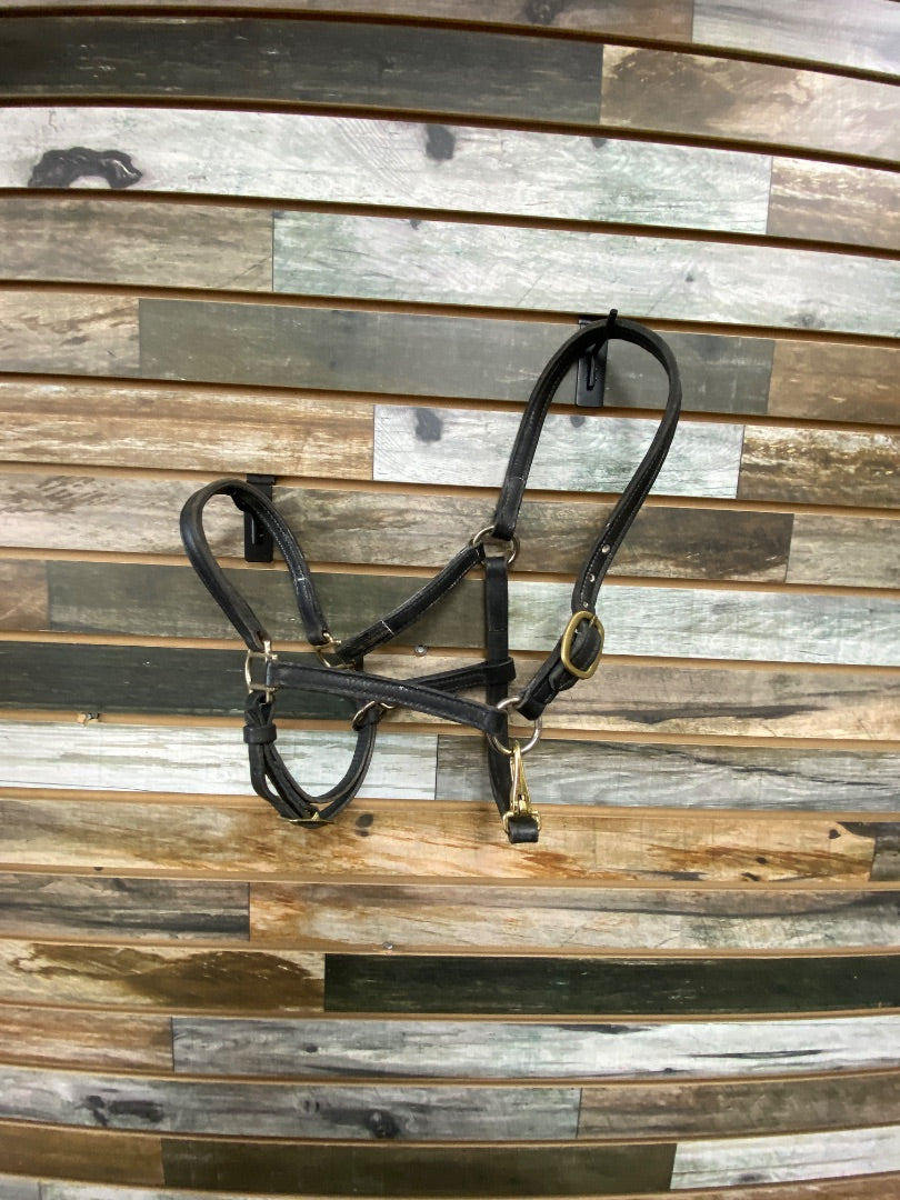 USED Black Leather Halter Cob Black
