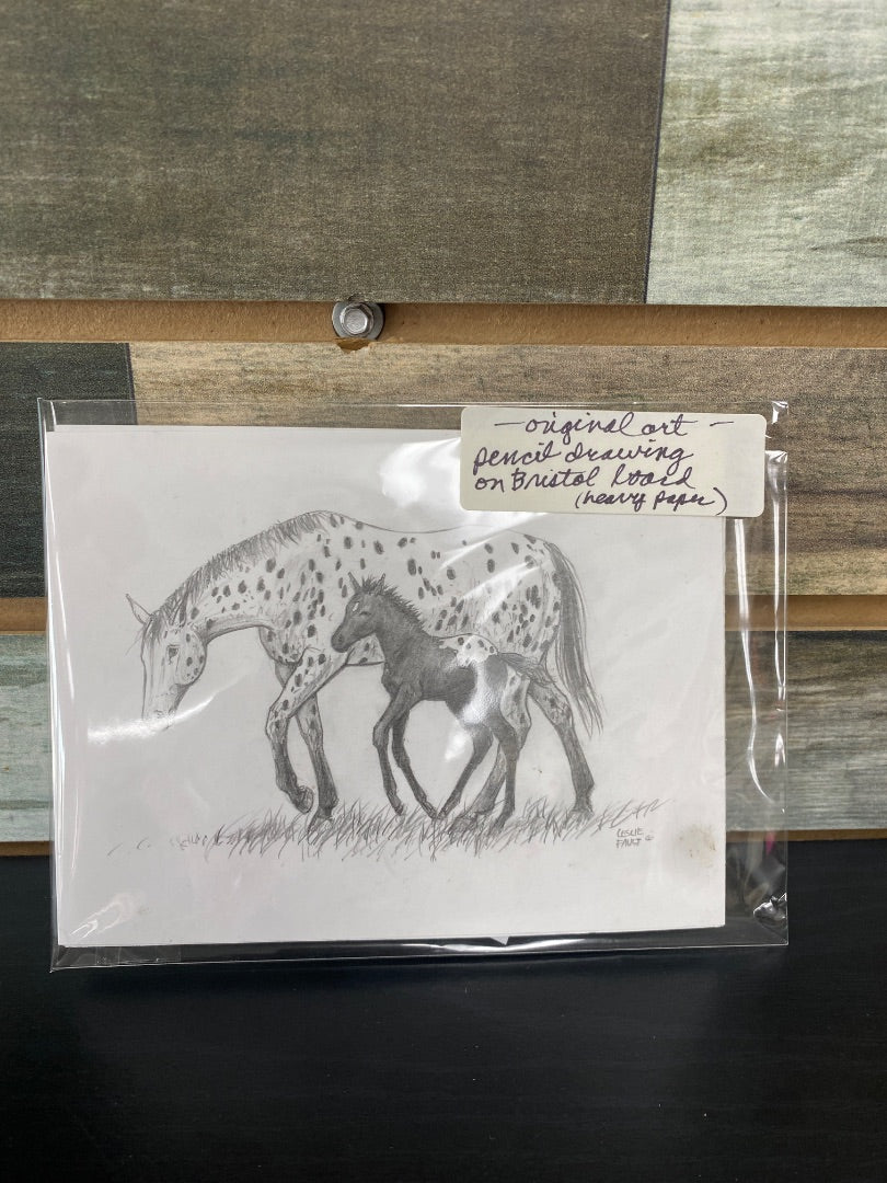 Appaloosa Mare and Foal Drawing 5"x7"