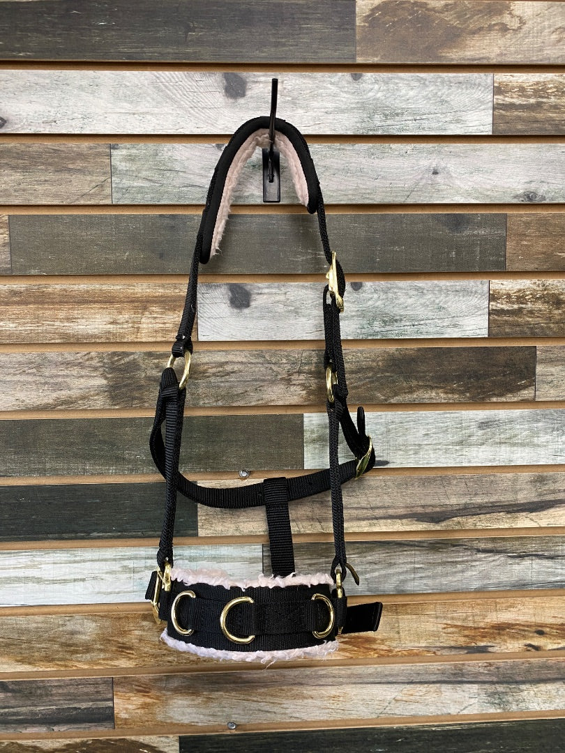 USED Teke Fleece Padded Nylon Cavesson Cob (Runs Big) Black