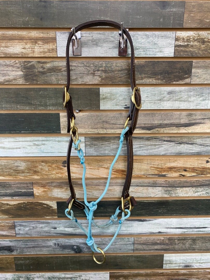USED Horse Education Company Halter Horse blue