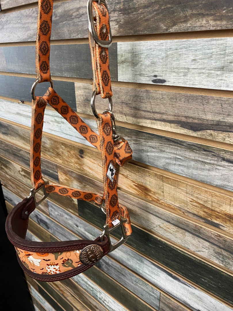 USED Little Paint Nylon Halter with Leather Noseband Horse