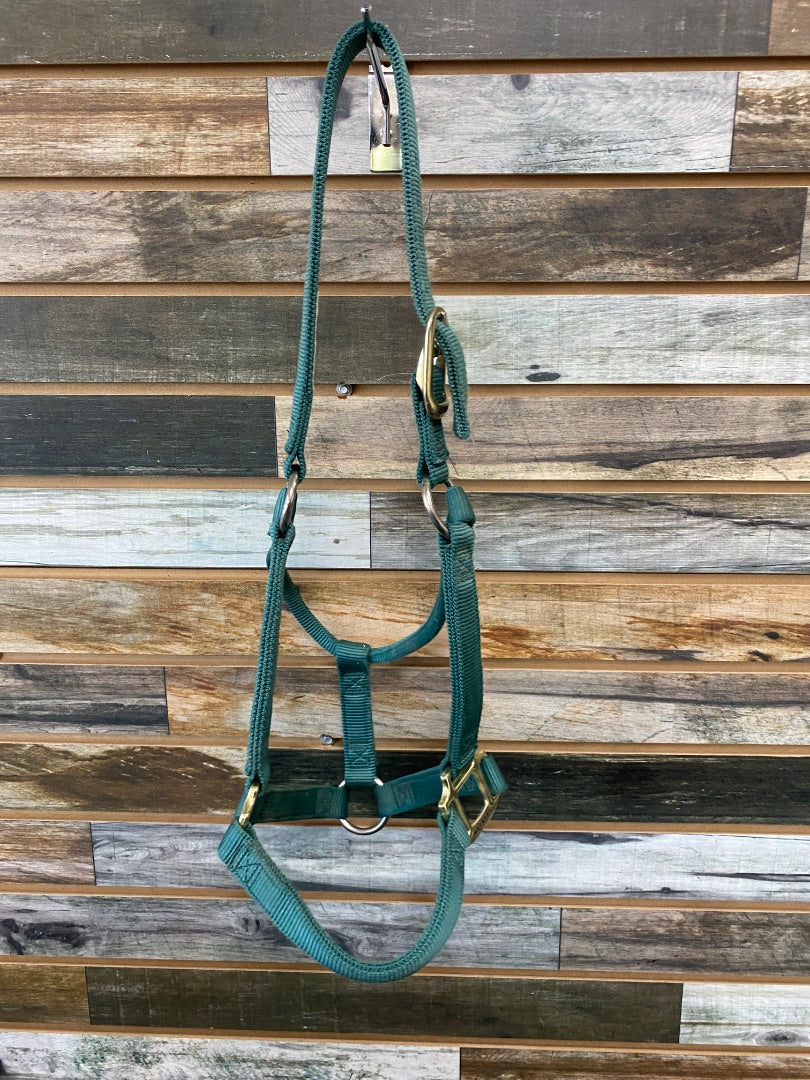 USED Weaver Nylon Halter Horse Green