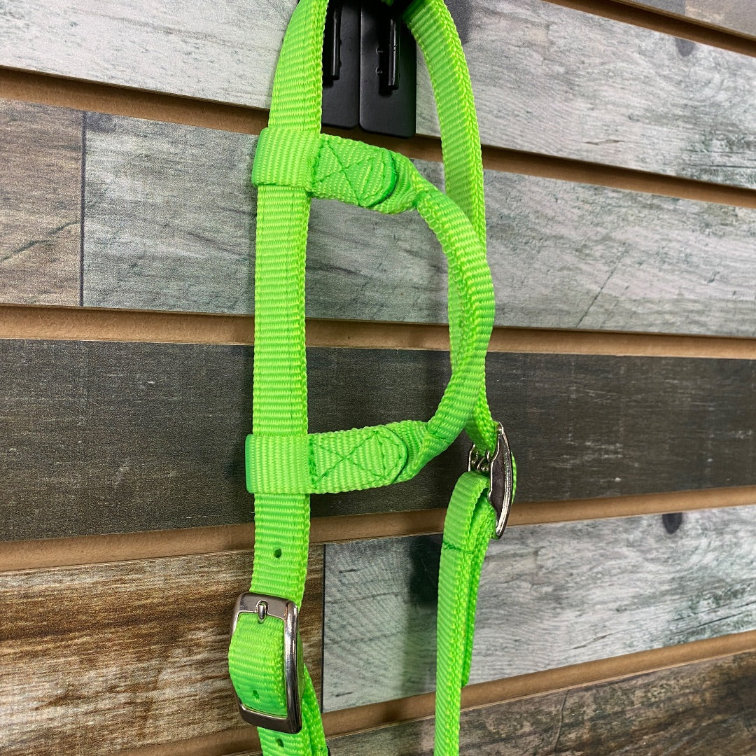 USED Triple E Nylon One-Ear Headstall Horse Neon Green