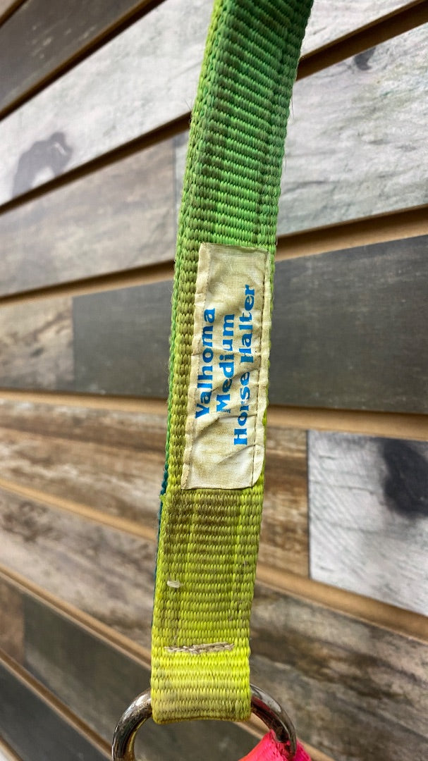 USED Nylon Halter Horse Rainbow