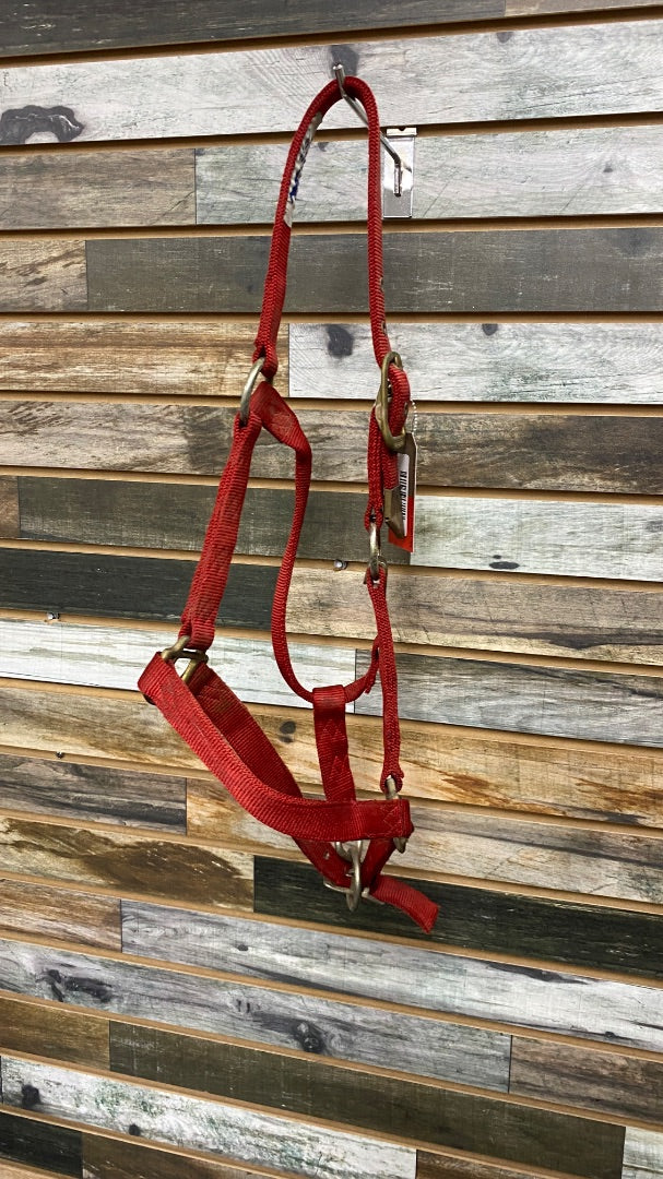 USED Nylon Halter Horse Red