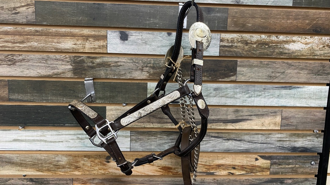 USED Showmanship Halter Pony Dark Oil / Silver