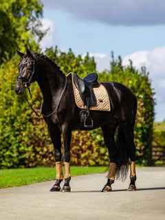 Equestrian Stockholm Jump Saddle Pad Modern Midsummer Glow - Full