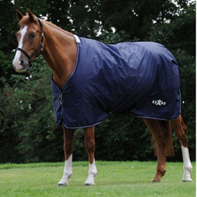 Saxon Defiant Blanket 600D