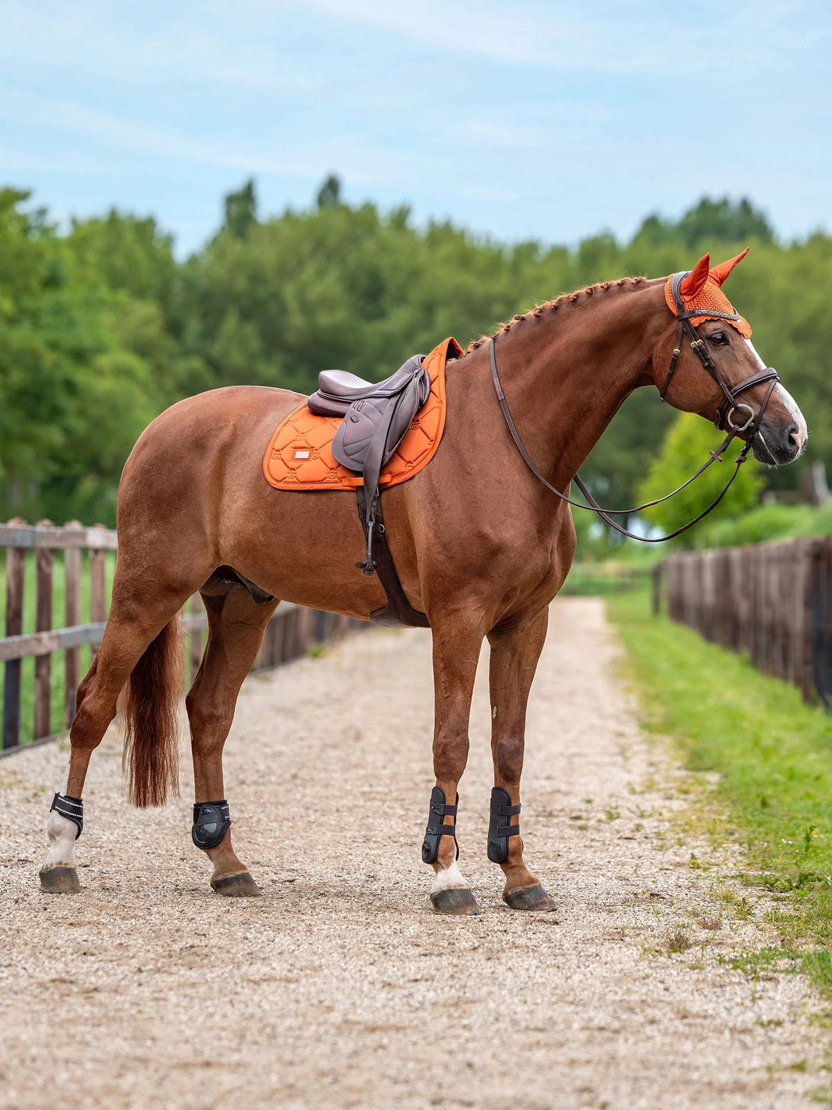 Jump Saddle Pad - Satin Chestnut