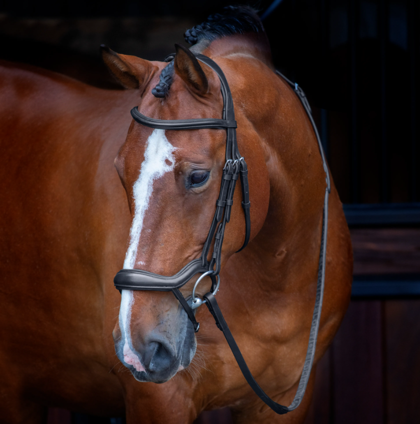 Velociti Ergonomic Flash Bridle - Black & Havanna