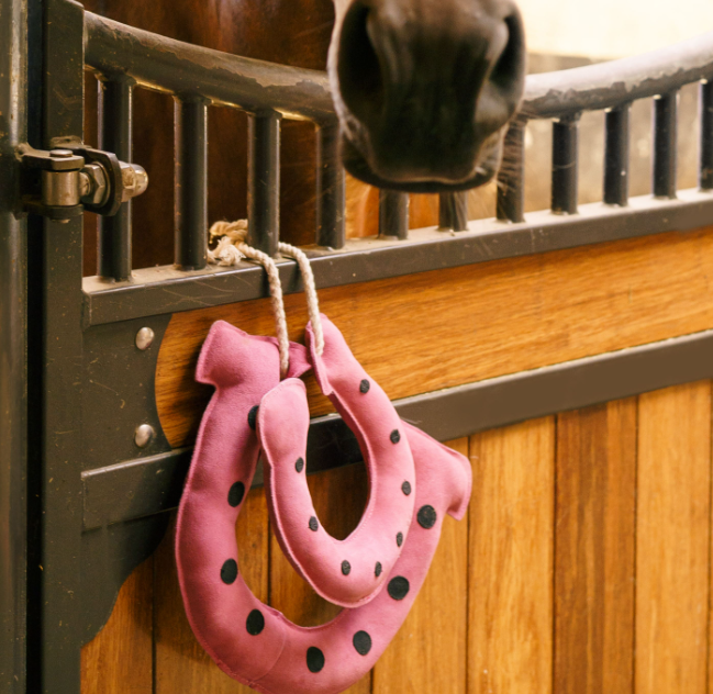 IRHStable Buddy Horseshoes
