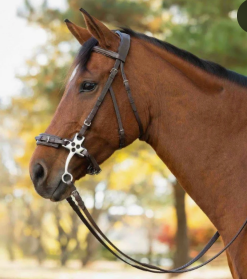 Equinavia Saga Hackamore Bridle with Rubber Reins