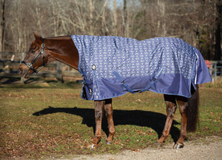 Equinavia Arktis Extended Neck Heavy Weight Turnout Blanket 300g