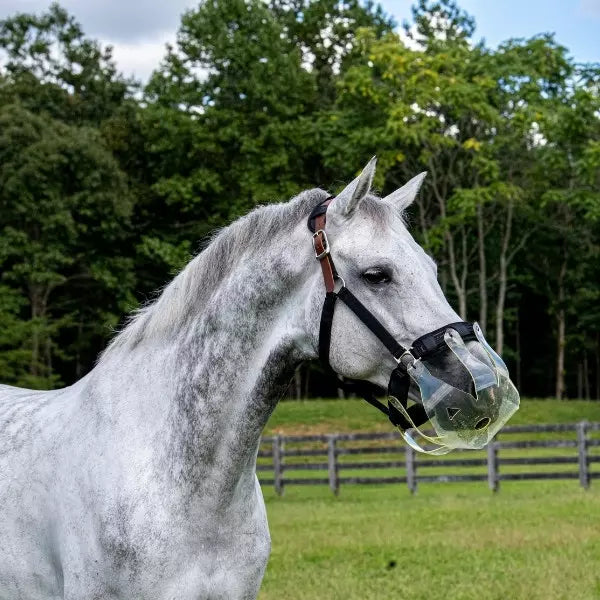 Turnout Halter for Flexible Filly Grazing Muzzle