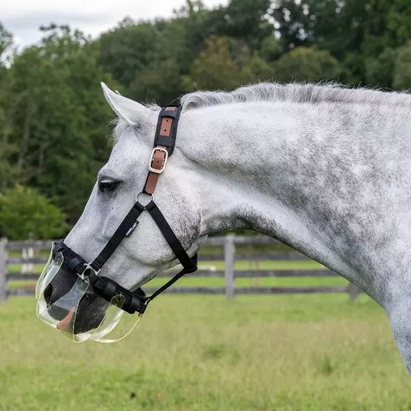Flexible Filly | The Most Comfortable Slow Feed Grazing Muzzle In The USA