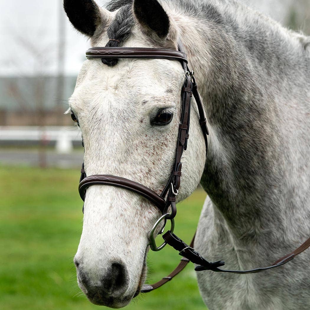 Pinehurst - Fancy Stitched Snaffle Horse Bridle