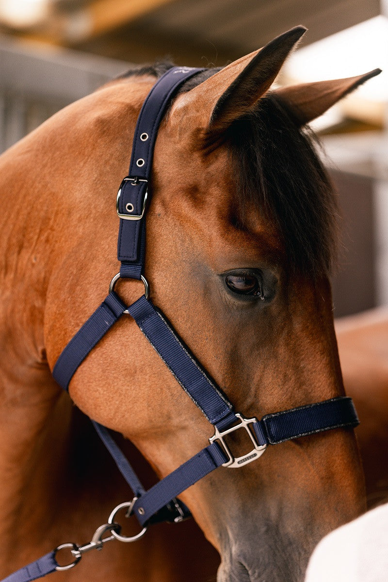 Hansey Horse Halter with Lead Rope