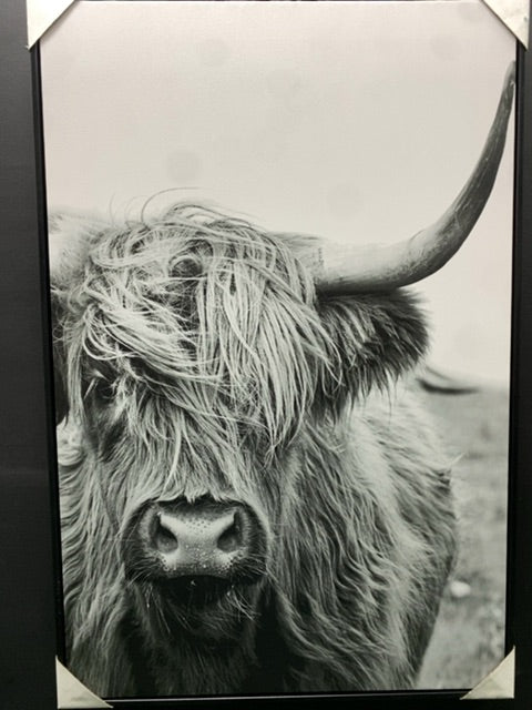 Highland Cow Framed Canvas 24x36 Grey