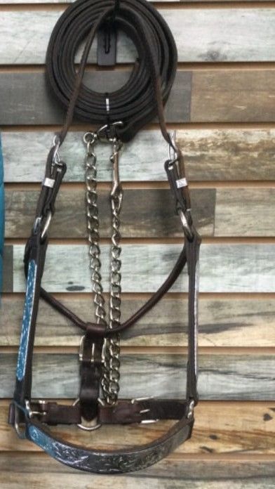 USED Circle Y Halter Horse Dark oil