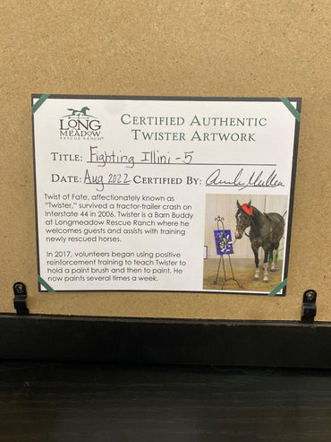 USED  Painting 16x20 Multicolor