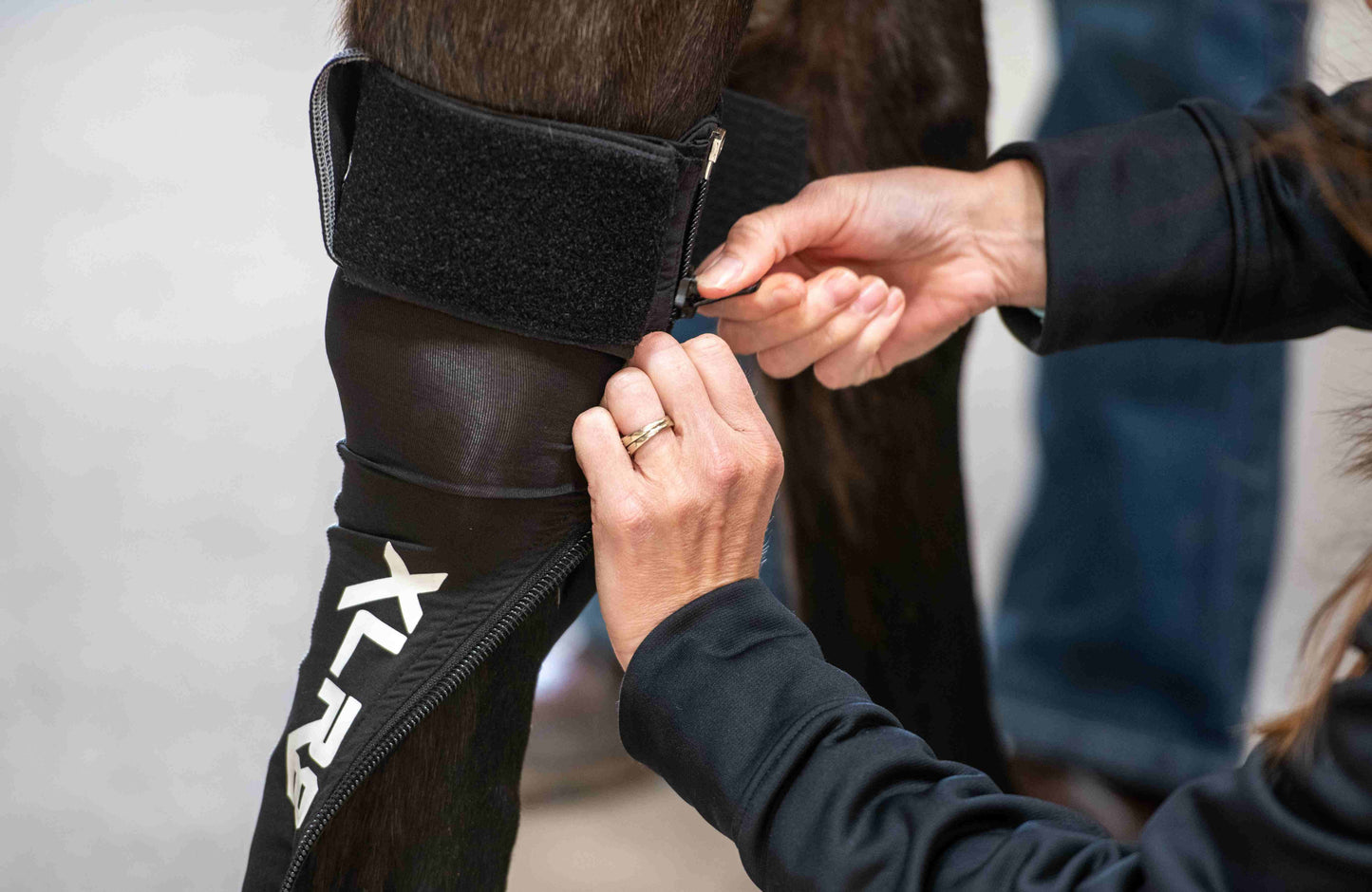 XLR8 Equine G-Force
