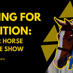 Grooming for Competition: Getting Your Horse Ready for the Show