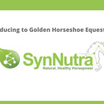 Introducing SynNutra Products
