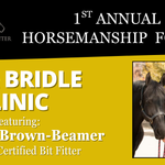 Bit and Bridle Fitting: Understanding the Conversation Between Horse and Rider