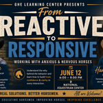 From Reactive to Responsive: Understanding the Anxious Horse