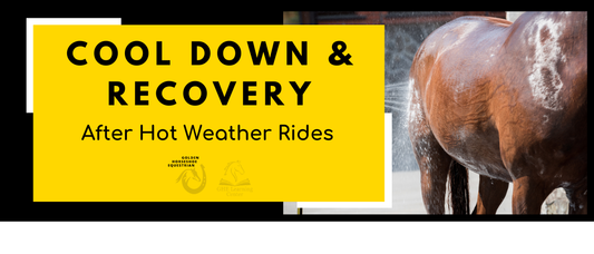 Cool Down & Recovery After Hot Weather Rides
