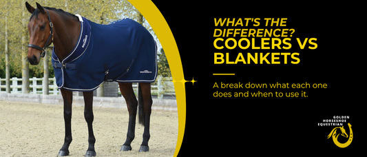 Coolers vs Blankets - What's the Difference?