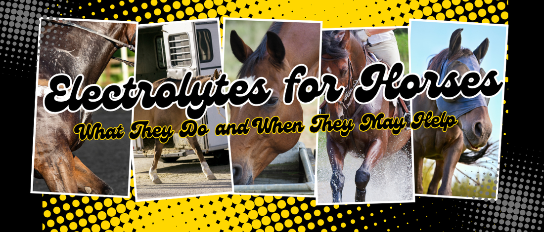 Electrolytes for Horses: What They Do and When They May Help
